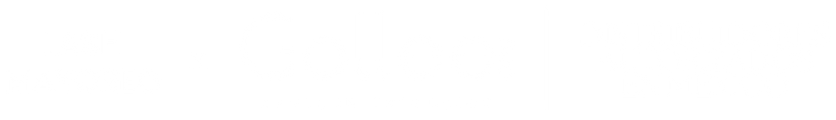 Lash Mayoreo x Gollee · Distribuidores autorizados en México