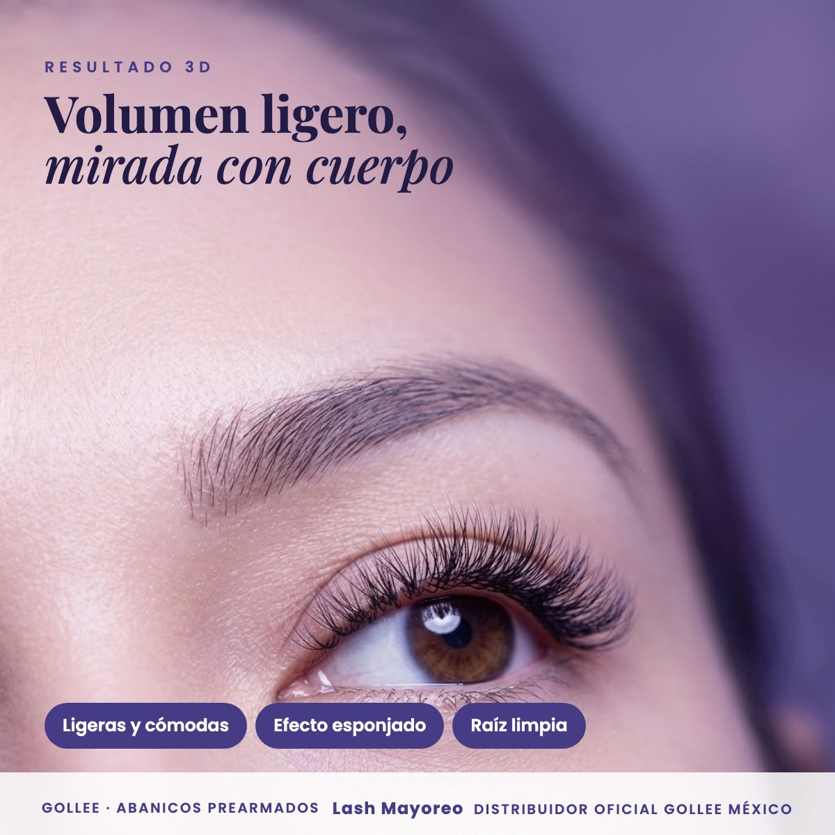 Blister Gollee Pestañas 3D Prearmadas Color Negro — resultado | Lash Mayoreo