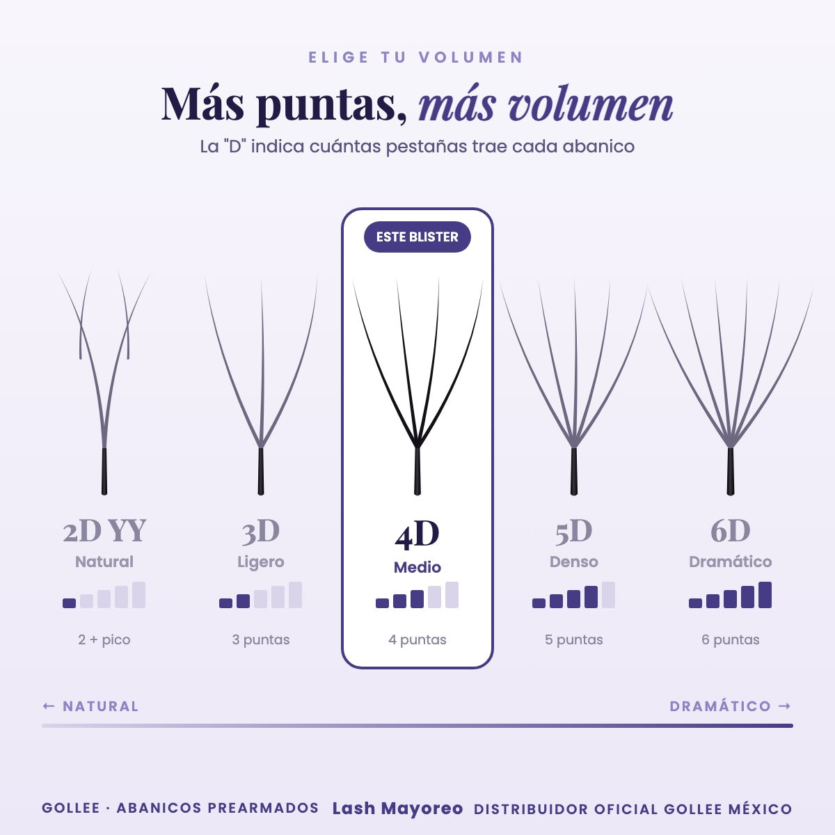 Blister Gollee Pestañas 4D Mix Prearmadas Color Negro — comparativa | Lash Mayoreo