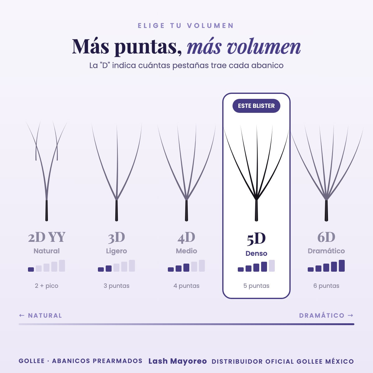 Blister Gollee Pestañas 5D Mix Prearmadas Color Negro — comparativa | Lash Mayoreo
