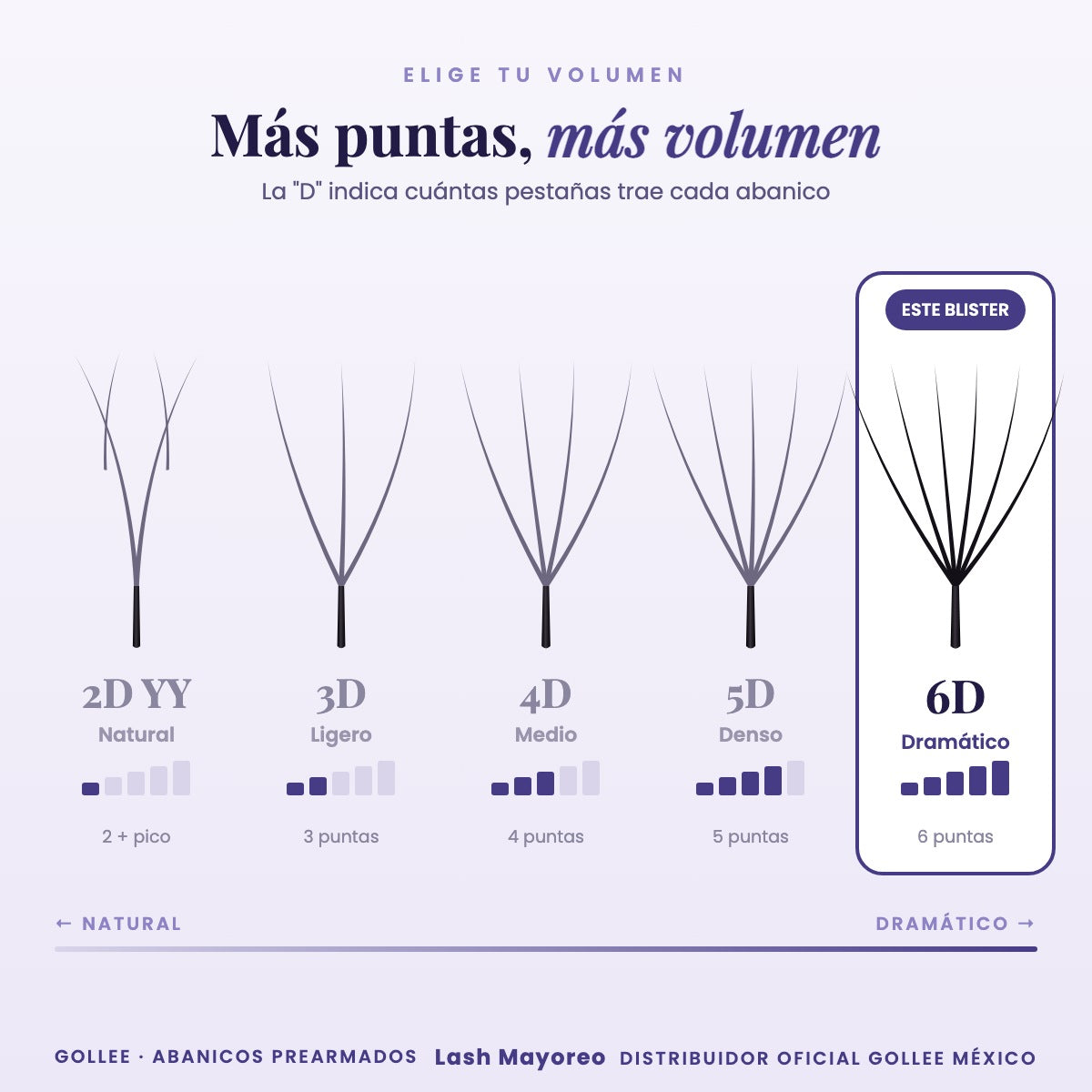 Blister Gollee Pestañas 6D Mix Prearmadas Color Negro — comparativa | Lash Mayoreo