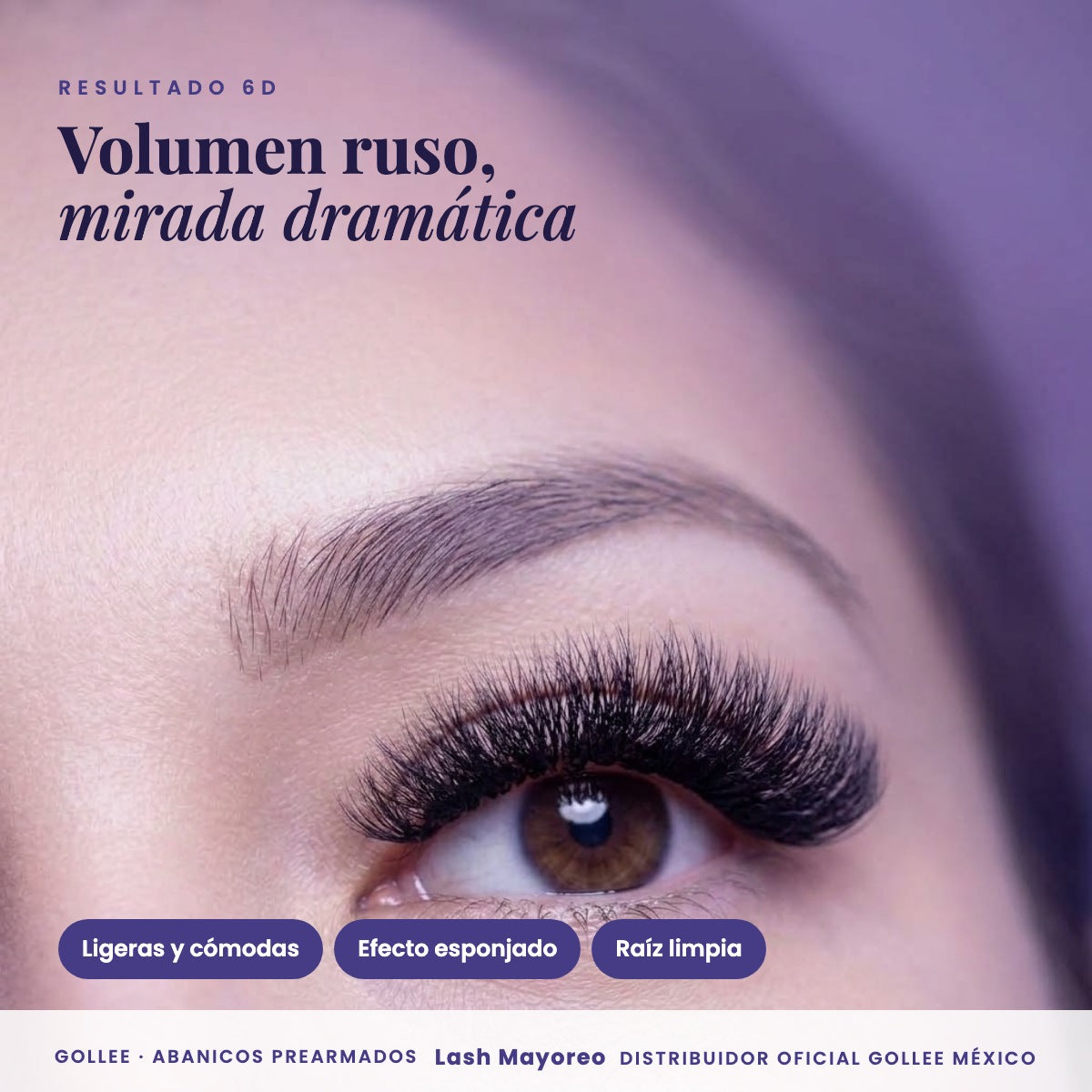 Blister Gollee Pestañas 6D Mix Prearmadas Color Negro — resultado | Lash Mayoreo