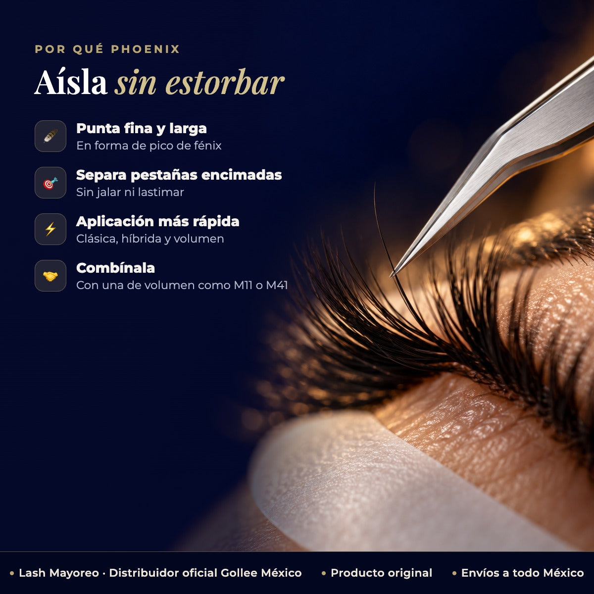 Pinza Aisladora para Extensiones de Pestañas Gollee M21 Phoenix — beneficios | Lash Mayoreo