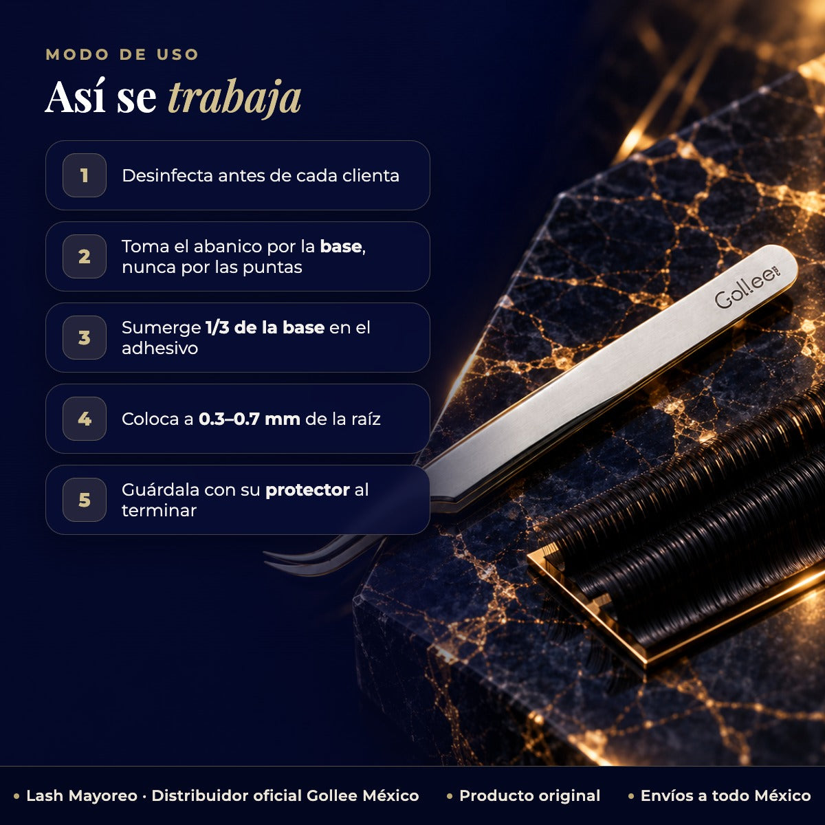 Pinza para Extensiones de Pestañas Inferiores Gollee M31 Lotus Tip — modo de uso | Lash Mayoreo